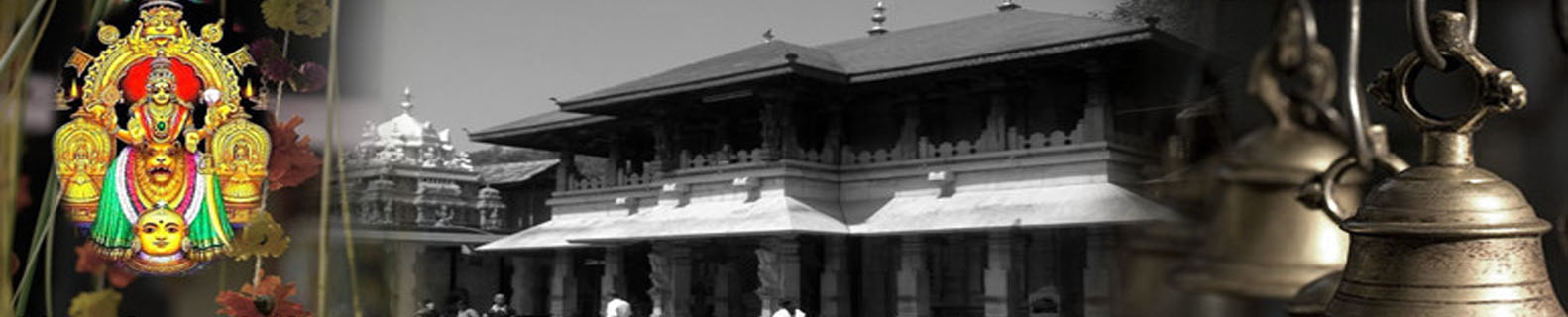 Banner4/