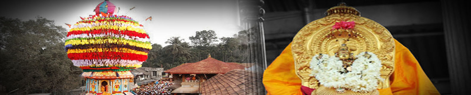 Banner6/